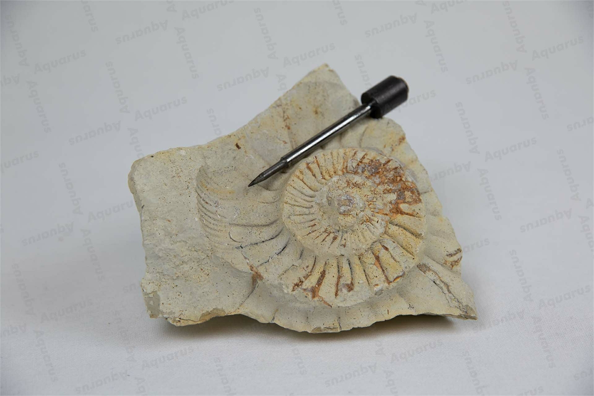 Stichel DN6 Nadelkopfform mit Feder,  Tungsten